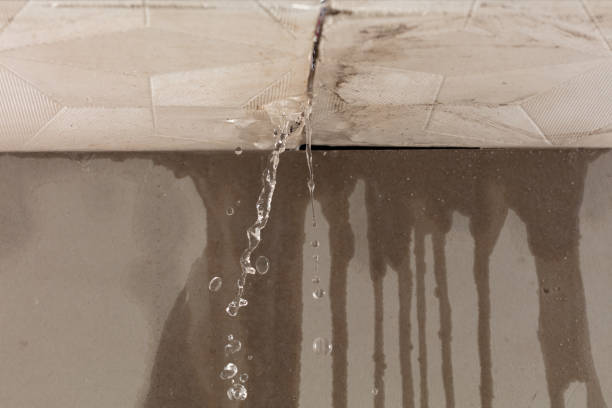 Professional Flood Damage Cleanup technician working in Springerville, AZ